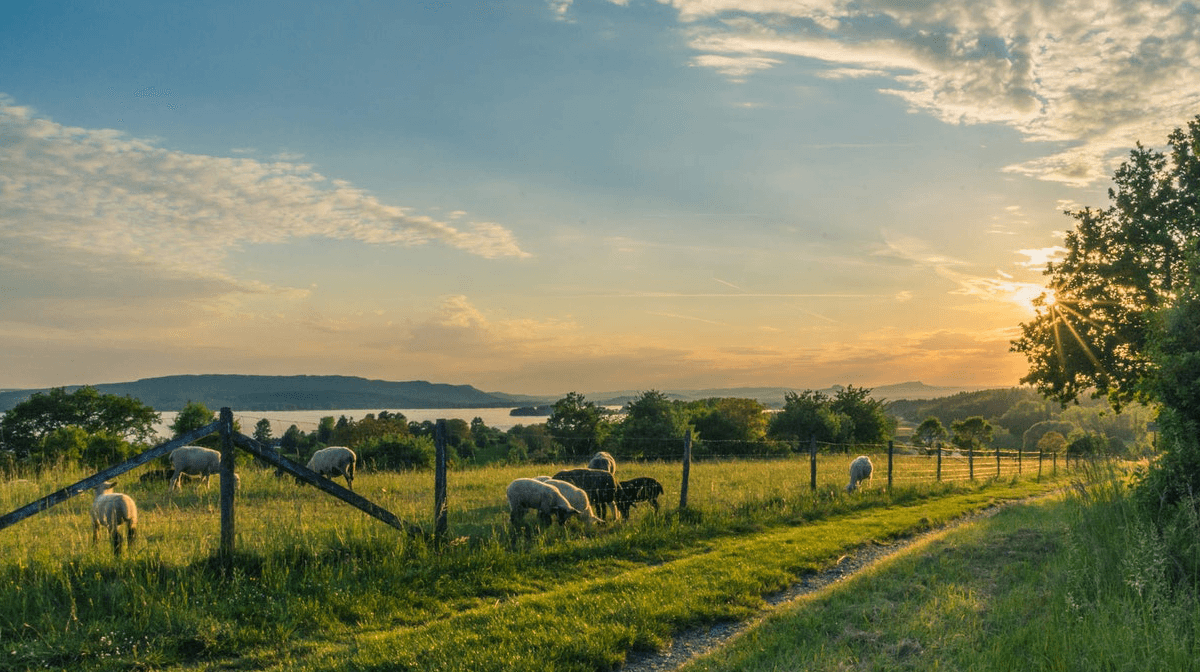 English countryside