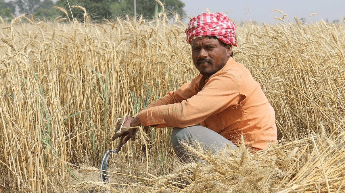 indian farmer png